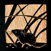 The MiceTimes of Asia