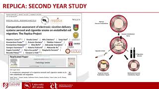 Replica Project: A Journey Through Multicentric Research Endeavors